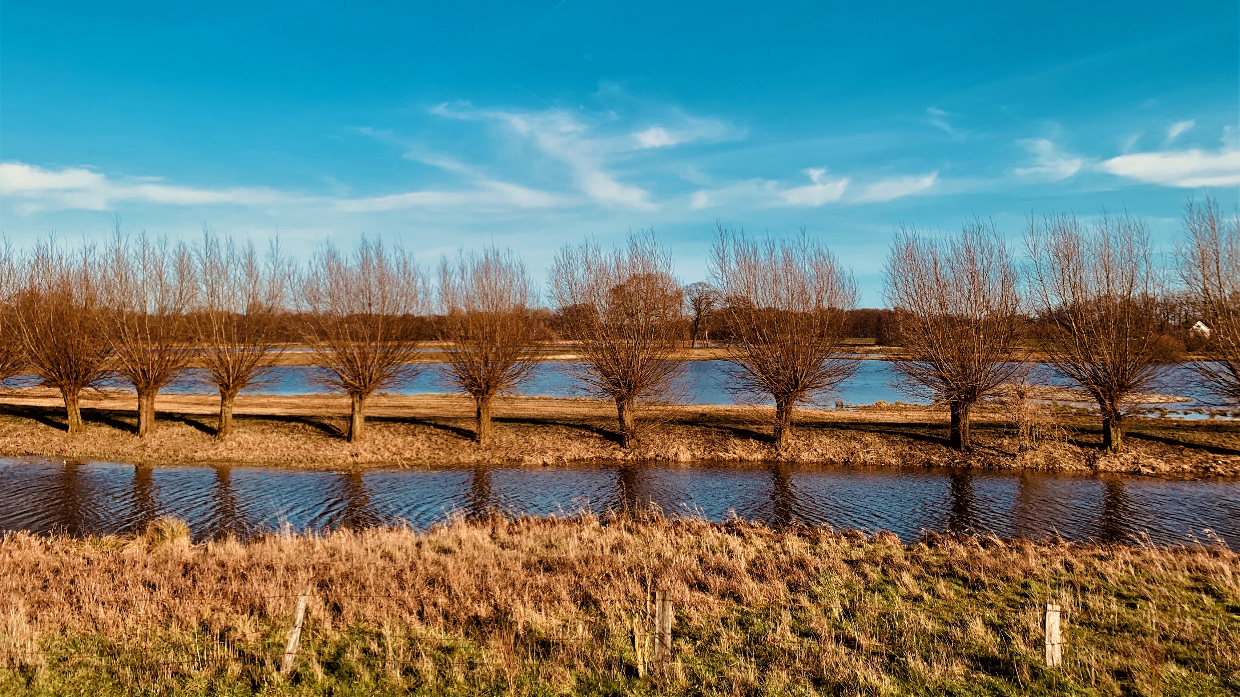 HEIMAT 31